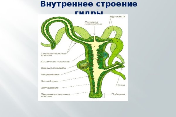 Что такое кракен наркотик