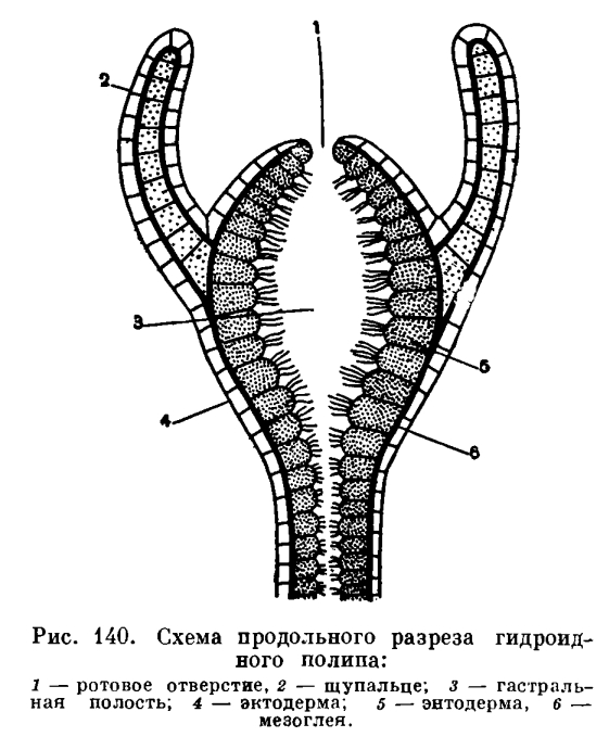 Kraken 4 ссылка